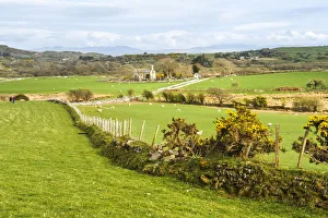 Ovis Aries Prints: Farm land in Snowdonia National Park, North Wales, Wales, United Kingdom, Europe