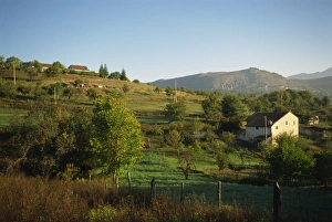 Abruzzo Prints: Farm landscape near Tagliacozzo, Abruzzo, Italy, Europe