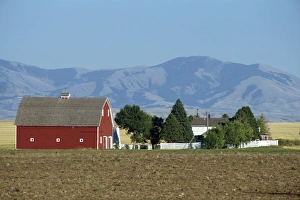 Barns Prints: Farm with large barn