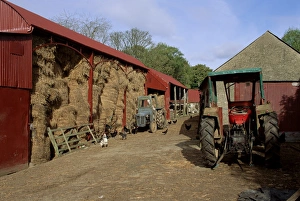 Co Wicklow Prints: A farm, near Avoca