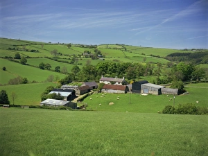 Shropshire Prints: Farm near Clun, Shropshire, England, United Kingdom, Europe