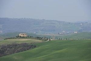 Pienza Prints: Farm near Pienza