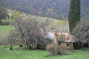 Loneliness Prints: Farm, Upper Blessington, Tasmania, Australia, Pacific