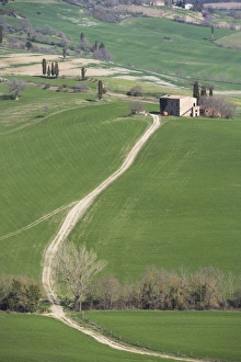 Pienza Prints: Farm in Val D Orcia