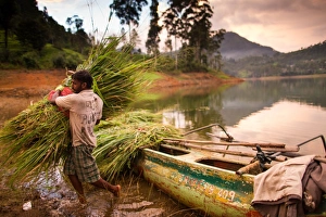 Farmer Prints: Farmer, Adams Peak, Sri Lanka, Asia