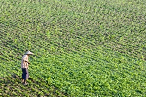 Farmer Prints: Farmer, Amarapura, Myanmar (Burma), Asia