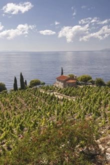 Livorno Province Prints: Farmhouse and cultivated fields overlooking the sea, Pomonte, Marciana, Elba Island