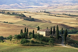 Farm House Prints: Farmhouse and cypress trees in the early morning