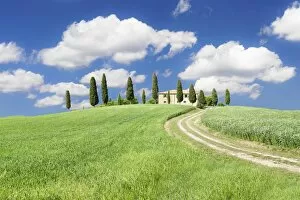 Images Dated 14th May 2008: Farmhouse with cypress trees, near Pienza, Orcia Valley (Val d Orcia), Siena region, Tuscany