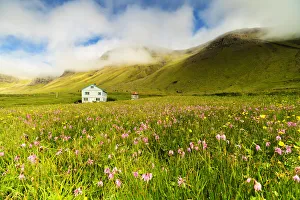 Wild Flower Prints: Farmhouse in fields of grass and wild flowers, Gasadalur, Vagar island, Faroe Islands