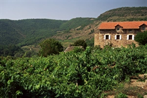 Aveyron Prints: Farmhouse near Millau, Aveyron, Midi Pyrenees, France, Europe