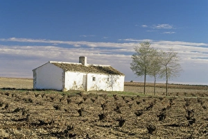 Farm House Prints: Farmhouse near Valdepenas
