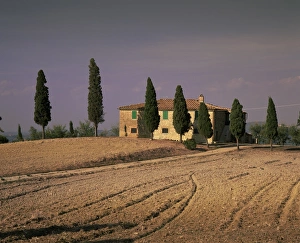 Cypresses Prints: Farmhouse in rural Tuscany