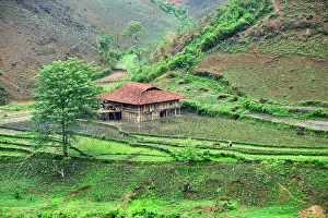 Terrace Prints: Farmhouse stands among paddy-fields by the river in Northern Vietnam near Bao Lac