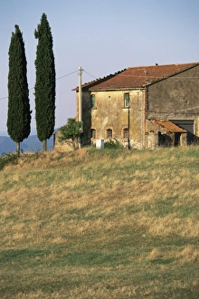 Cypresses Prints: Farmhouse, Umbria