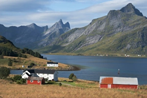 Farmhouse Prints: Farmhouses in the country, Lofoten Islands, Nordland, Norway, Scandinavia, Europe