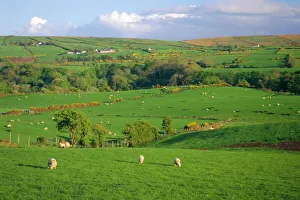 Images Dated 6th August 2008: Farming countryside