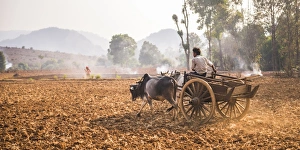 Farmer Prints: Farming between Inle Lake and Kalaw, Shan State, Myanmar (Burma), Asia