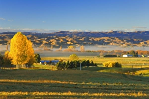 Contrasting Prints: Farmland, Alexandra