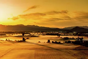 Foggy Gallery: Farmland in Auburn at sunset, Washington State, United States of America, North America