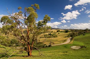 Images Dated 25th December 2007: Farmland, Buchan, Victoria, Australia, Pacific