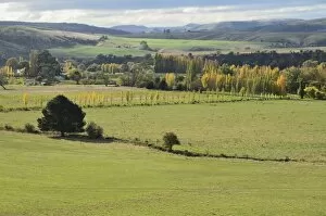 Images Dated 23rd April 2011: Farmland, Bushy Park, Tasmania, Australia, Pacific