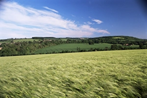 Grain Prints: Farmland, Darent Valley, North Downs, near Eynsford, Kent, England, United Kingdom