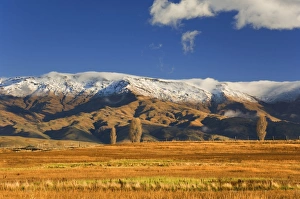 Unadorned Prints: Farmland and Dunstan Range