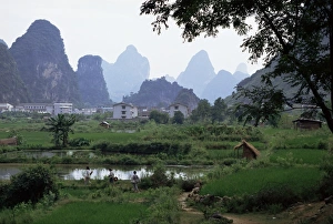 Guangxi Prints: Farmland on edge of town, among the limestone towers, Yangshuo, Guangxi, China, Asia