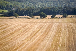 Buckingham Shire Prints: Farmland after harvesting, view from the Ridgeway Path, Pitstone Hill, Buckinghamshire