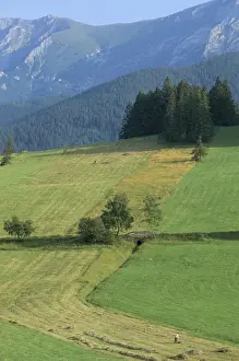 Slovakian Prints: Farmland in the High Tatra Mountains near Zdiar and Polish border
