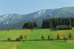Slovakia Prints: Farmland, High Tatras