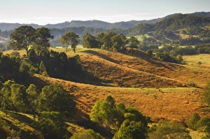 Ns W Prints: Farmland, Murwillumbah, New South Wales, Australia, Pacific