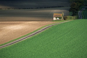 Farmland near Old Winchester Hill, Hampshire, England, United Kingdom, Europe