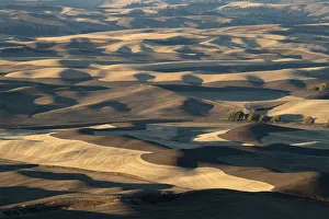Farmland in the Palouse, Palouse, Washington State, United States of America, North