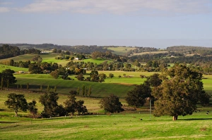Picton Prints: Farmland, Picton, Western Australia, Australia, Pacific