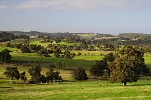 Farmland, Picton, Western Australia, Australia, Pacific