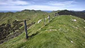 Green Colour Prints: Farmland on the Tora Coastal Walkway, Wairarapa, North Island, New Zealand, Pacific