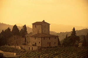 Farm House Prints: Farms and vines