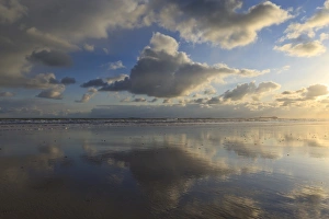 Bamburgh Prints: Farne Islands reflections, from Bamburgh beach