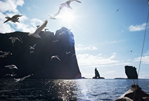 North Atlantic Prints: Faroe Islands, Denmark, North Atlantic