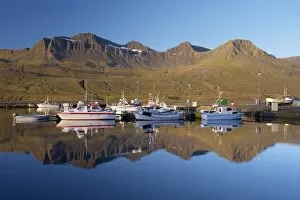 Images Dated 12th September 2009: Faskrudsfjordur, fishing village founded by French fishermen in the early 19th century where all