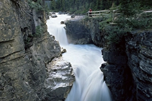 The fast-flowing Tokumm Creek swollen by summer snowmelt, Marble Canyon
