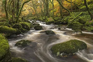 Fast flowing woodland stream in autumn, River Plym, Dartmoor National Park, Devon