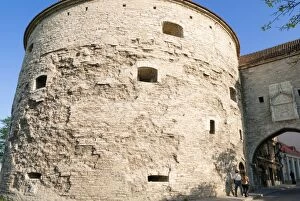 Images Dated 19th May 2010: Fat Margaret Tower, old city walls of the Old Town of Tallinn, UNESCO World Heritage Site