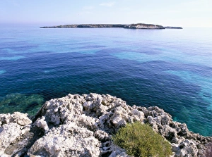Favignana Island