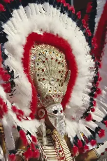 Clothes Prints: Feather headdress and elaborate costume in Mardi Gras parade