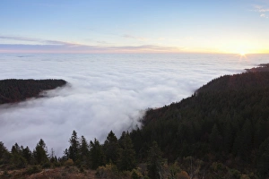 Eerie Prints: Feldberg, Black Forest, Baden Wurttemberg, Germany, Europe