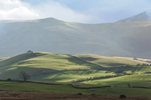 Fell Prints: Fell Country above Caldbeck, John Peel Country