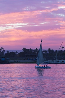 Pink Sky Prints: Felucca on the Nile River, Luxor, Egypt, North Africa, Africa